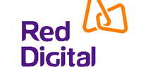 Visa partner logo